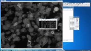 ImageJ How to Measure Mean Fluorescence Intensity Over Timelapse Image Stack Condensed [upl. by Hennie]