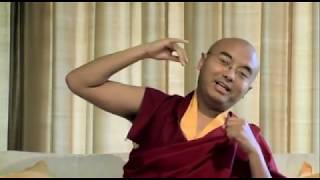 What Meditation Really Is  Mingyur Rinpoche [upl. by Lancelle807]