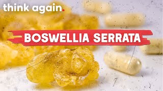 Does Frankincense Boswellia Serrata Fight Pain amp Inflammation [upl. by Lorant]