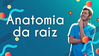 Anatomia da raiz  Brasil Escola [upl. by Laven490]