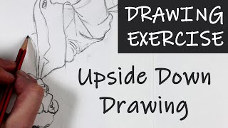 Drawing Exercise 2  Upside Down Drawing [upl. by Ayyn417]