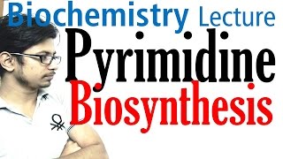 Pyrimidine biosynthesis [upl. by Frankel]