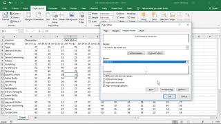 Customize Headers and Footers  Excel 2019 tutorial [upl. by Novad583]