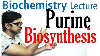 Purine biosynthesis [upl. by Fabiano]