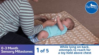 03 Month Old Sensory Milestones [upl. by Adnam]