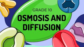 Diffusion and Osmosis [upl. by Onitnelav]