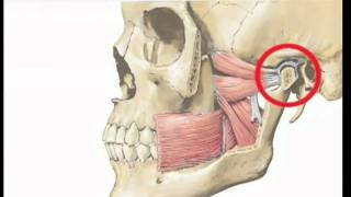 TMJ Disorder and Night Guards [upl. by Varden]