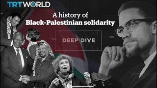 Deep Dive A history of BlackPalestinian solidarity [upl. by Eicart]