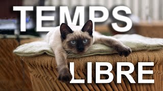 TEMPS LIBRE  PAROLE DE CHAT [upl. by Bendicta]