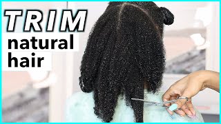 Trim NATURAL HAIR without HEAT very detailed [upl. by Judd]