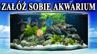 Początkujący 🐠 Propozycje RYB do Pierwszego AKWARIUM [upl. by Harimas]