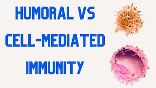 HUMORAL IMMUNITY vs CELL MEDIATED IMMUNITY [upl. by Ahsuatal493]