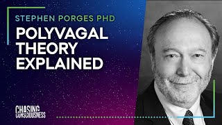 POLYVAGAL THEORY EXPLAINED Stephen Porges PHD 5 [upl. by Jr]