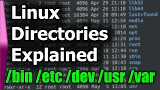 Linux File SystemStructure Explained [upl. by Korie]