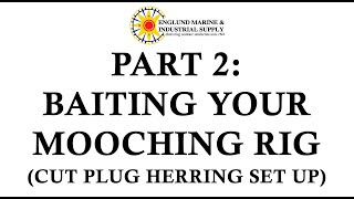 Baiting Your Mooching Rig with Herring [upl. by Lennie]