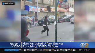 Man Caught On Camera Punching Officer [upl. by Olbap717]