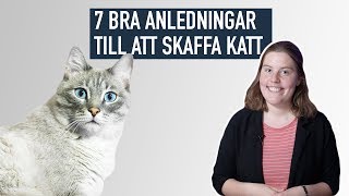 7 Anledningar Till Att Katten Är Det Bästa Husdjuret [upl. by Annibo]