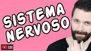 SISTEMA NERVOSO  FISIOLOGIA  Aula  Biologia com Samuel Cunha [upl. by Elleneg473]