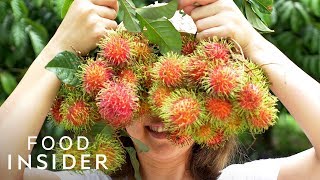 13 Extraordinary Fruits Around The World [upl. by Nivar254]