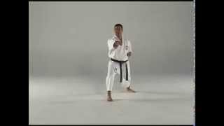 1st Kata  Taigyoku Shodan [upl. by Palumbo]