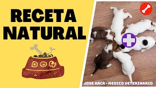 🛑 Que Darle de COMER a un CACHORRO de 1  MES ⏩Aprende  1  Formula CASERA y NATURAL✅ [upl. by Am]