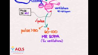 NRP Overview and Review by ACLS Certification Institute [upl. by Aronoff]