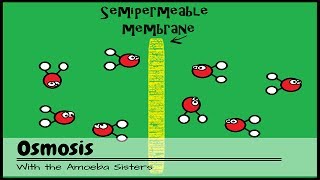 OLD VIDEO Osmosis [upl. by Taveda]