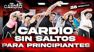 CARDIO SIN SALTOS para PERDER PESO RAPIDO  PRINCIPIANTES  28 minutos [upl. by Monia]