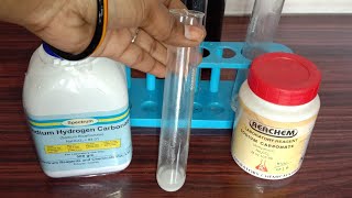 METAL CARBONATES AND METAL HYDROGEN CARBONATES REACTION WITH ACID [upl. by Seravart]