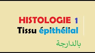 cours HISTOLOGIE Ep 1  Tissu épithélial [upl. by Imelida681]