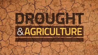 Drought and Agriculture  Predict Plan and Prepare Stop Drought Becoming Famine [upl. by Eitsym]