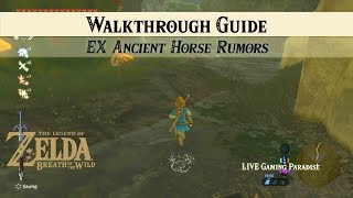 Breath of the Wild  EX Ancient Horse Rumors DLC Side Mission [upl. by Atiloj]