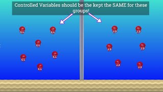 Variables in Science Independent Dependent and Controlled [upl. by Hanahsuar137]