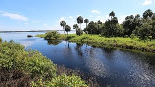 Florida Travel Explore Myakka River State Park [upl. by Pirzada]