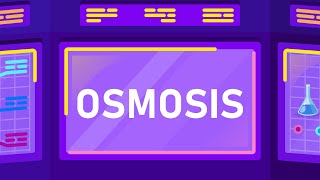 What is Osmosis [upl. by Auqemahs]