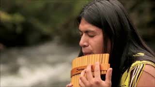 leo rojas the sound of silence [upl. by Esbenshade38]