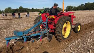 David Brown 990 Implematic with Ransome 3 Furrow Plough [upl. by Allecram]