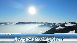 Every Beat of My Heart 我的每一次心跳  Rod Stewart  中英歌詞 [upl. by Ardme]