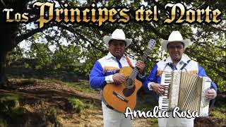 Los Príncipes del Norte  Amalia Rosa Audio [upl. by Roehm]