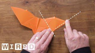 How to Fold Five Incredible Paper Airplanes  WIRED [upl. by Mountford]