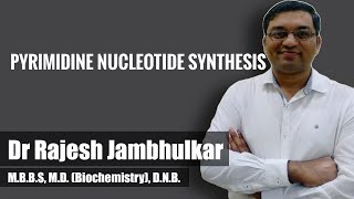 Pyrimidine nucleotide synthesis and degradation [upl. by Aala]