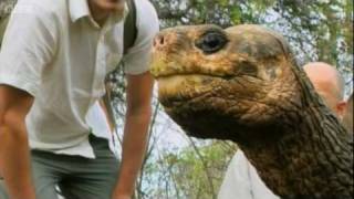 Lonesome George the Galapagos Tortoise  Explore  BBC [upl. by Lezned81]