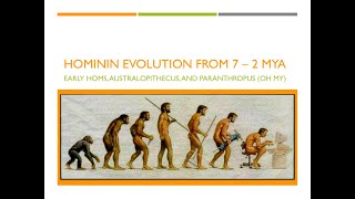 Hominin Evolution Part 1 The First 5 Million Years [upl. by Garfinkel]