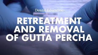 Endodontics Retreatment and removal of Gutta Percha [upl. by Mobley33]