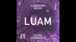 Clockwork Indigo Flatbush Zombies amp The Underachievers  LUAM [upl. by Ientruoc]