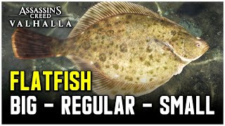 Assassins Creed Valhalla  Flatfish Fish Locations Big  Regular  Small [upl. by Nagirrek729]