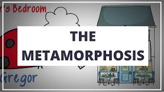 THE METAMORPHOSIS BY FRANZ KAFKA  ANIMATED SUMMARY [upl. by Brocklin]