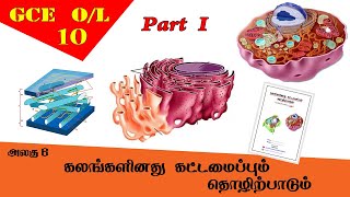 கலம்  Cell structure amp function  Grade 10 Science  GCE OL Tamil Medium [upl. by Laet439]