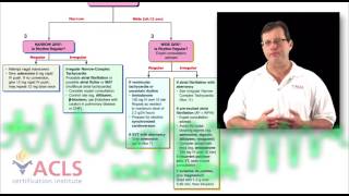 Tachycardia Review by ACLS Certification Institute [upl. by Lecrad]