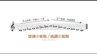 小調的三種模式：自然／和聲／旋律小音階！ [upl. by Petra]